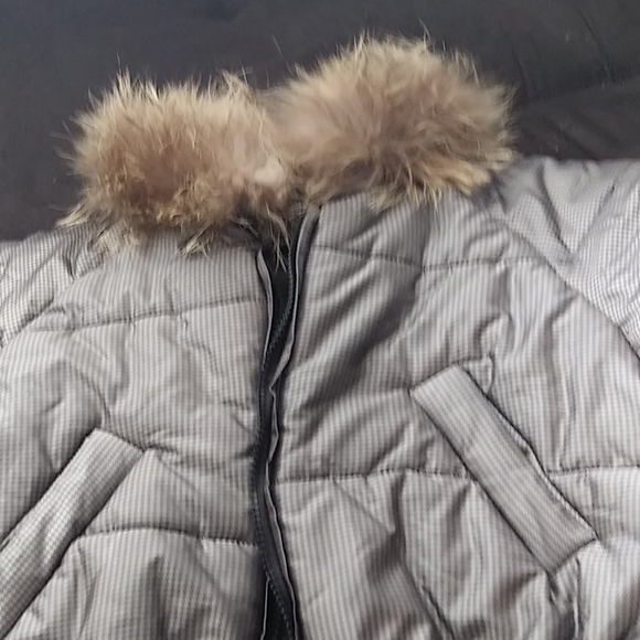 Jacket - Picture 4 of 5